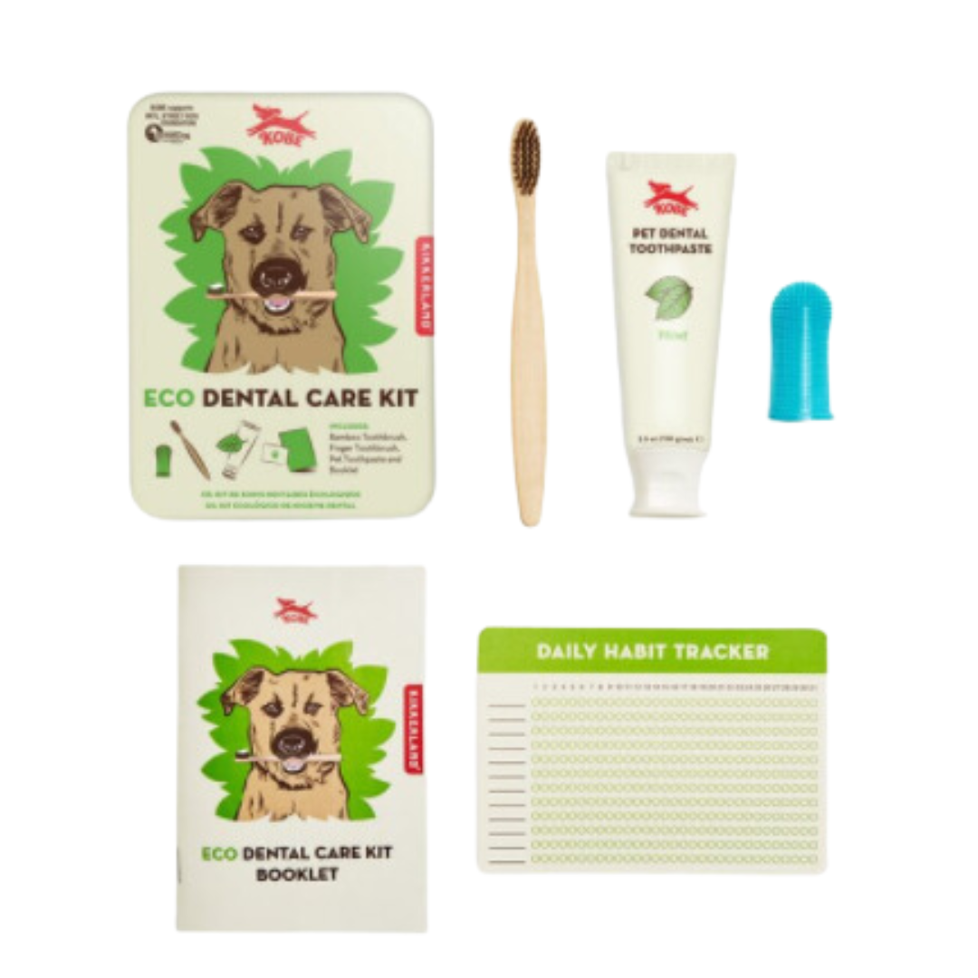 Eco dental kit  | Kikkerland - Babelle