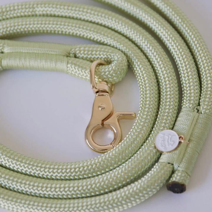 Lime Handsfree Leash | Furlou - Babelle