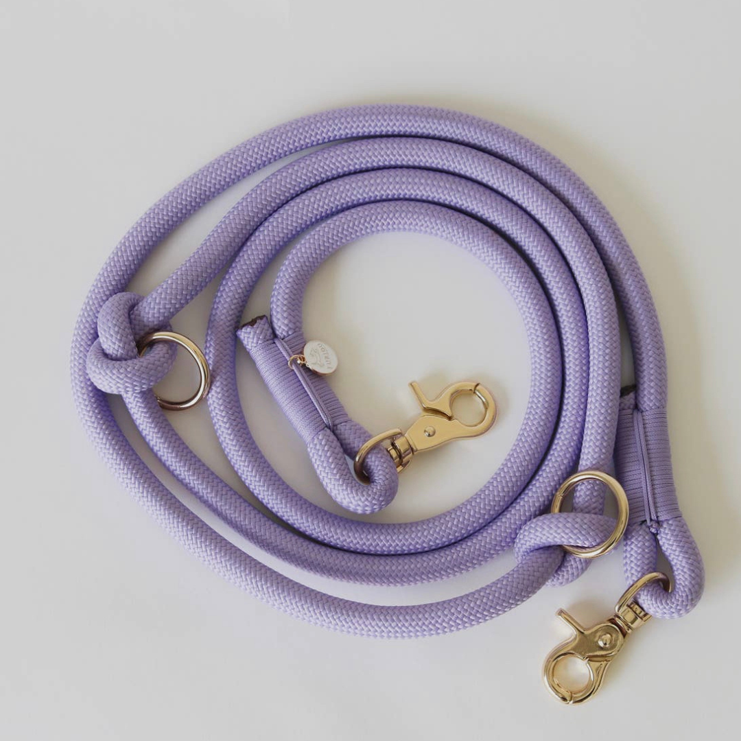 Lavender Handsfree Leash | Furlou - Babelle