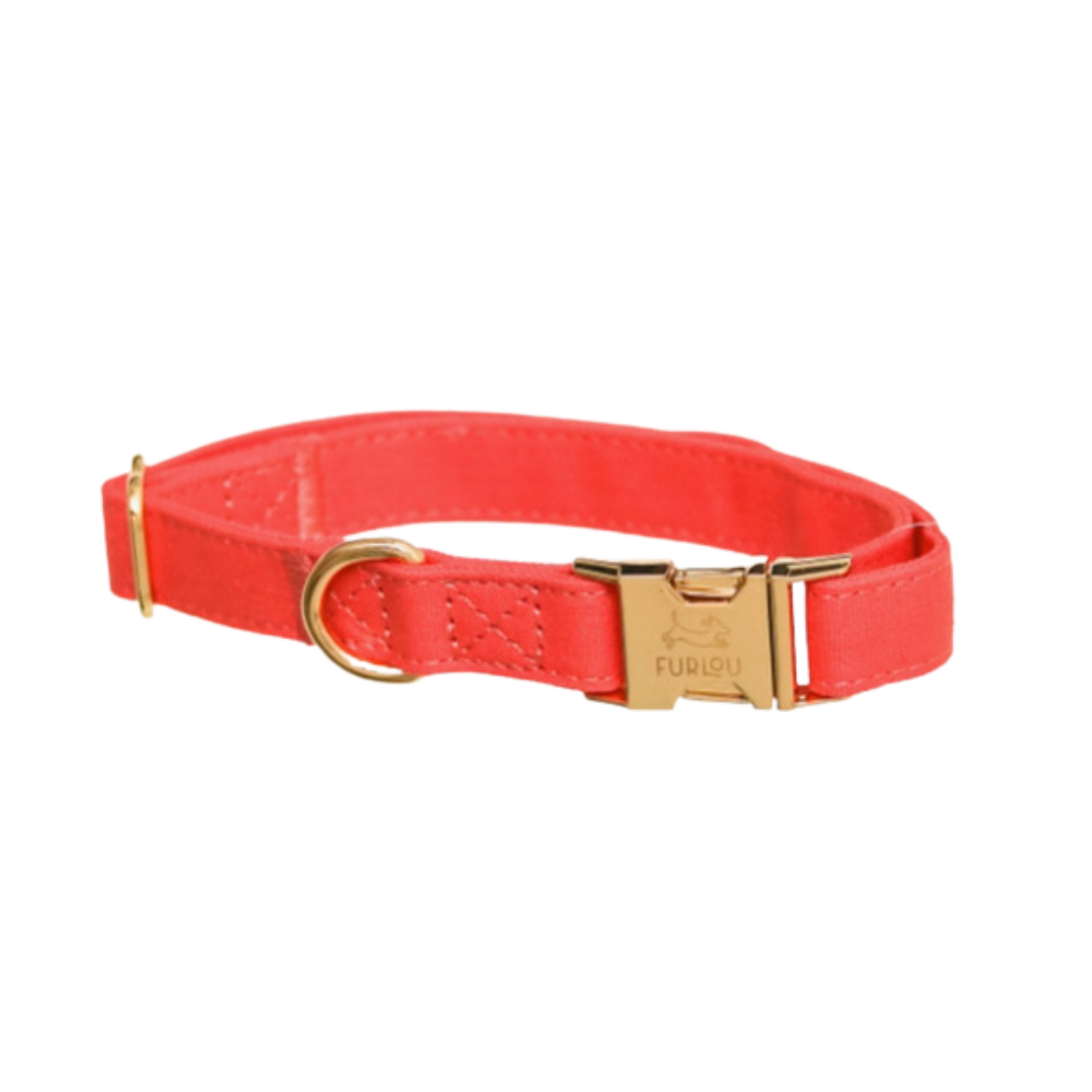 Coral collar | Furlou - Babelle