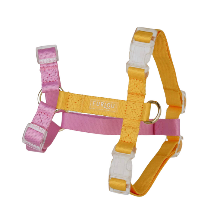 Yellow & Pink Harnas| Furlou - Babelle