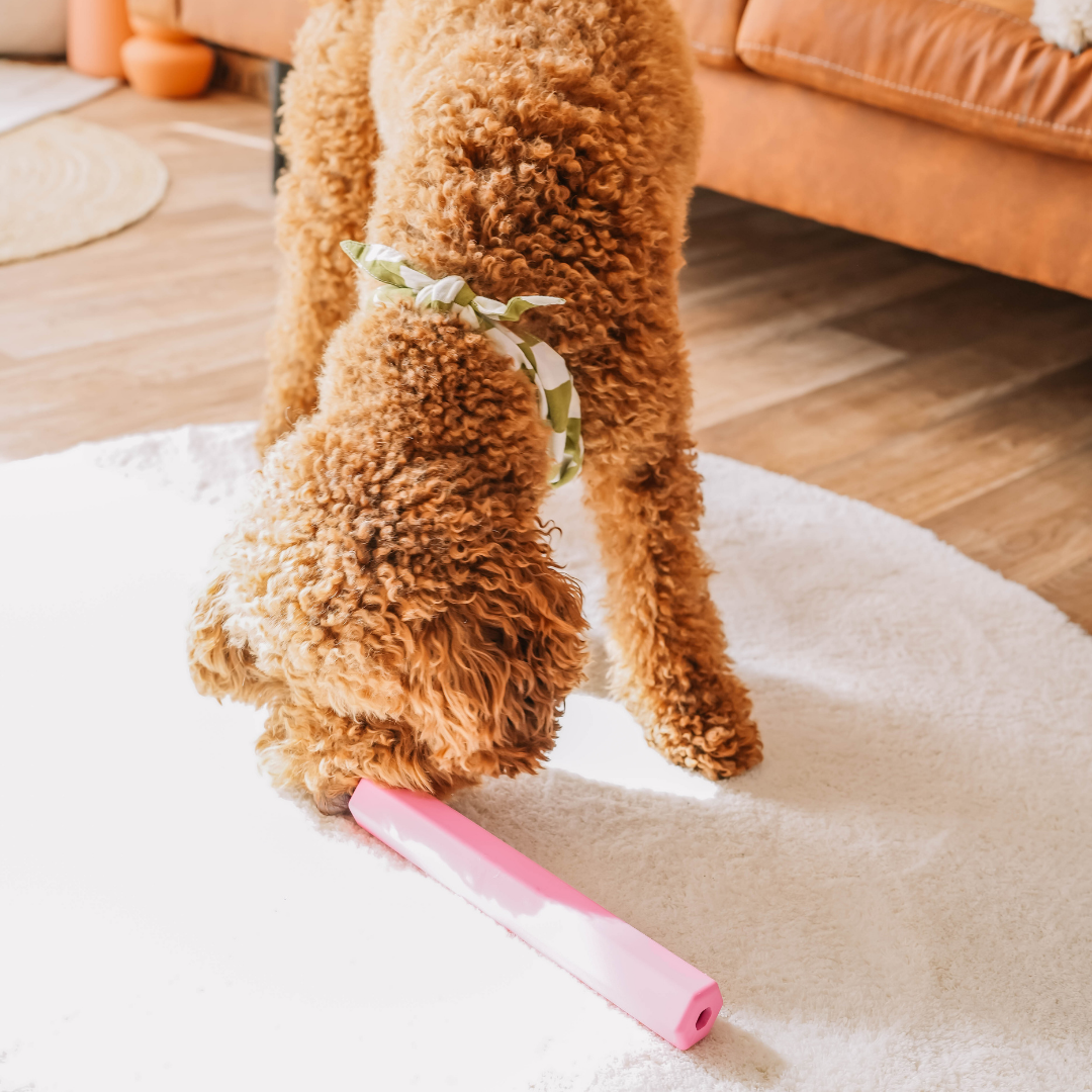 The Treat Tube - Orange | Babelle - Babelle