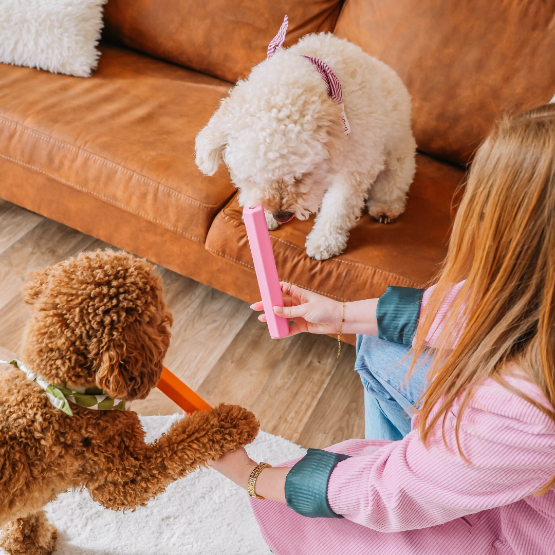 The Treat Tube - Orange | Babelle - Babelle