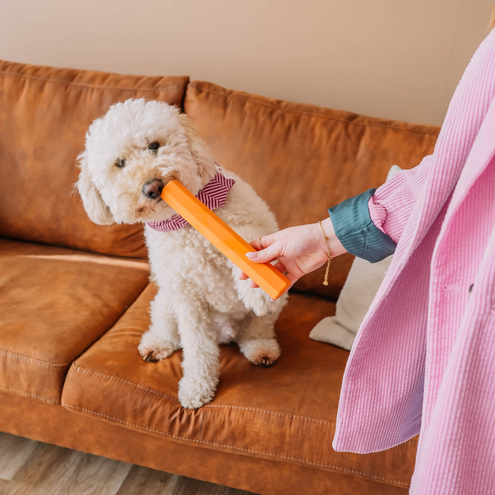 The Treat Tube - Orange | Babelle - Babelle