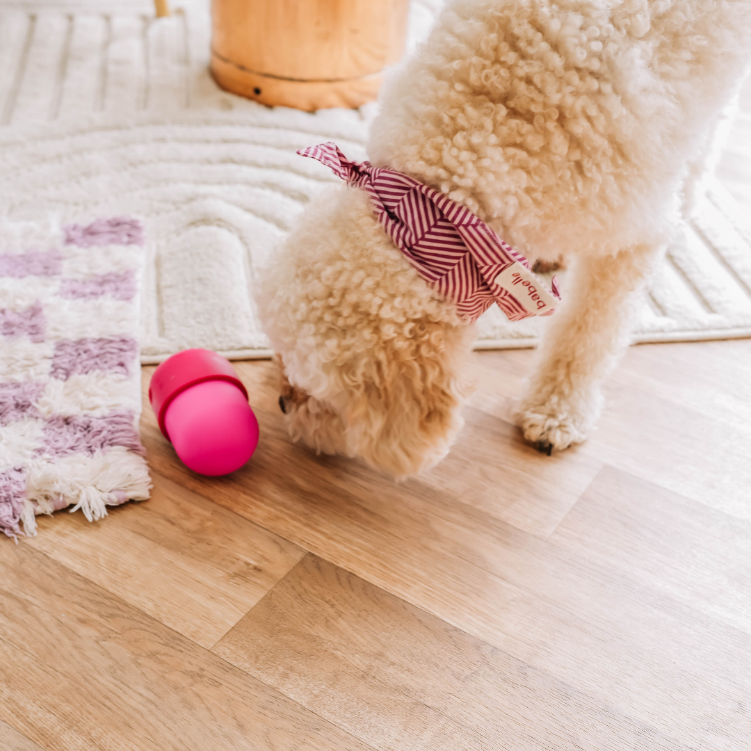 The Fun Feeder | Babelle - Babelle