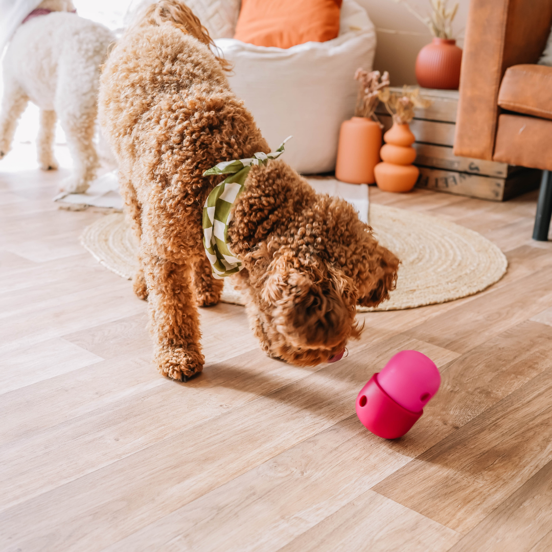 The Fun Feeder | Babelle - Babelle