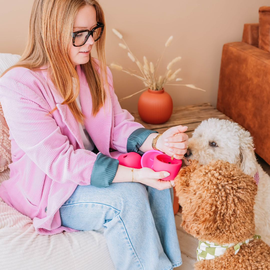 The Fun Feeder | Babelle - Babelle