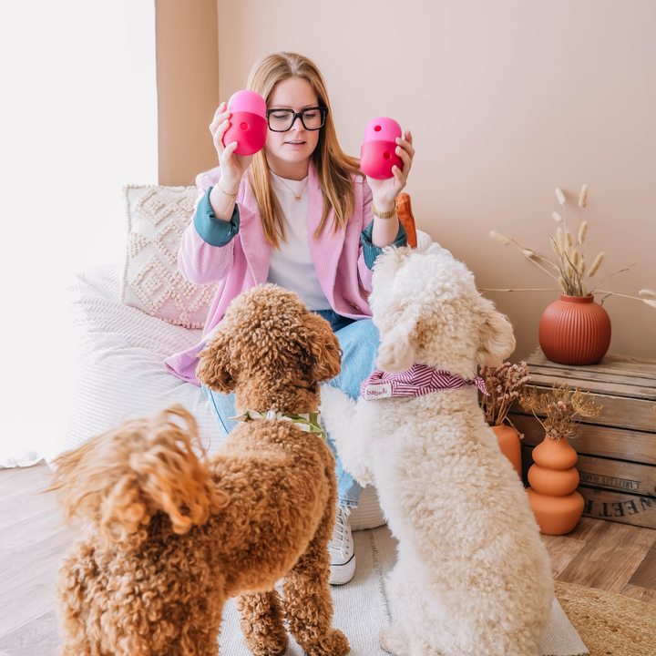 The Fun Feeder | Babelle - Babelle