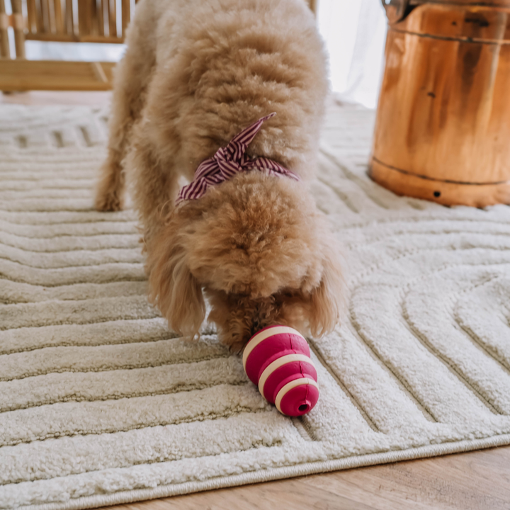 The Bubble Feeder | Babelle - Babelle