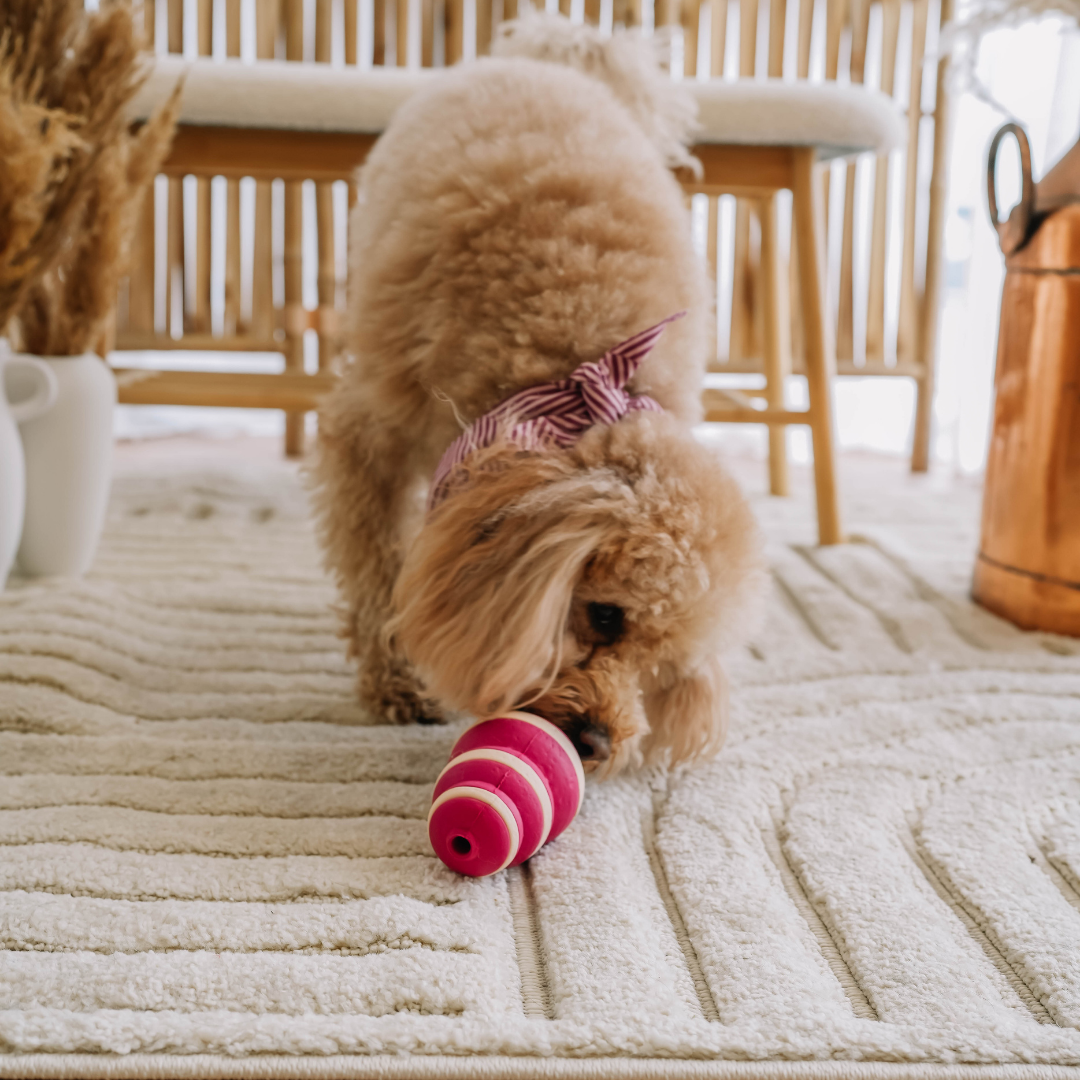 The Bubble Feeder | Babelle - Babelle