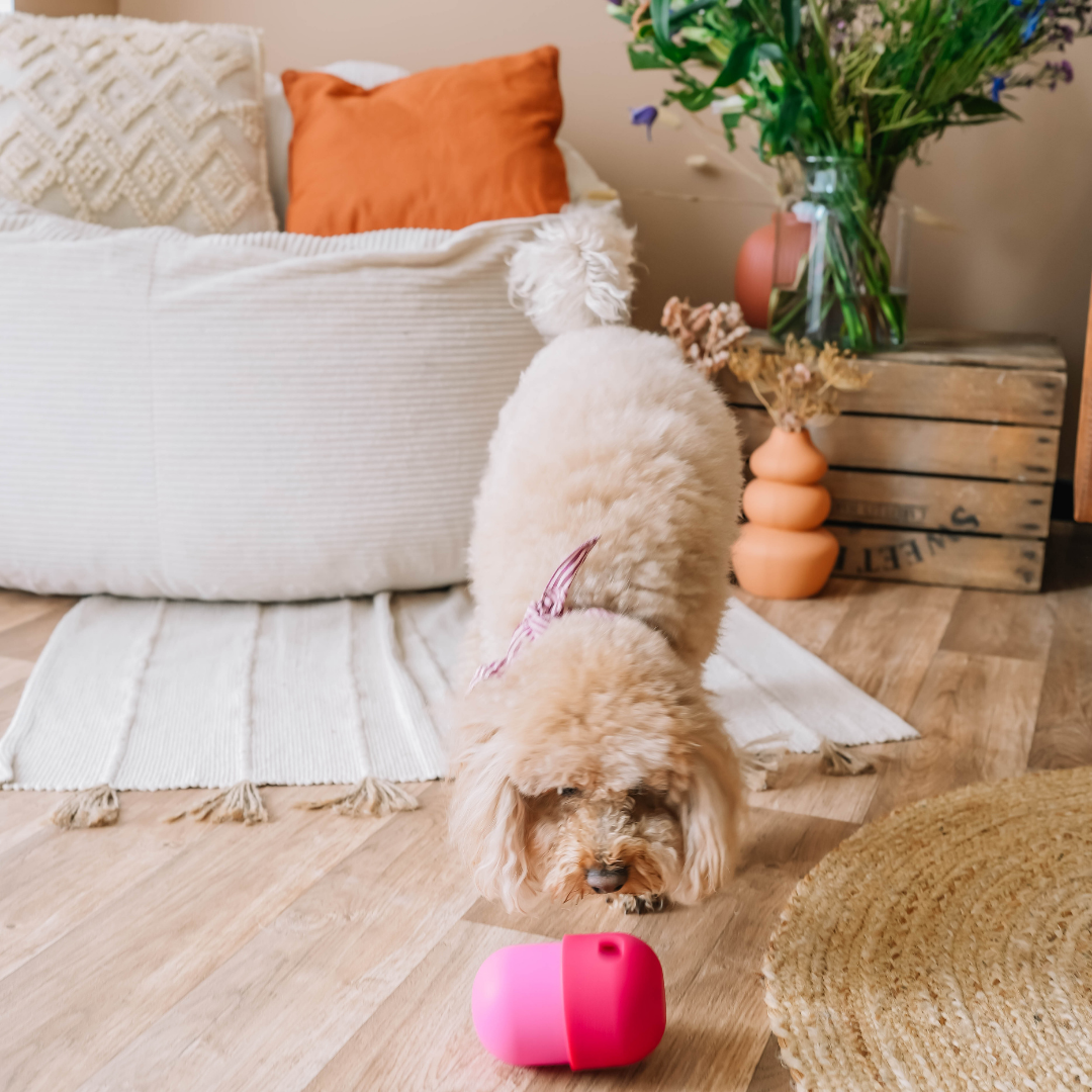 The Fun Feeder | Babelle - Babelle