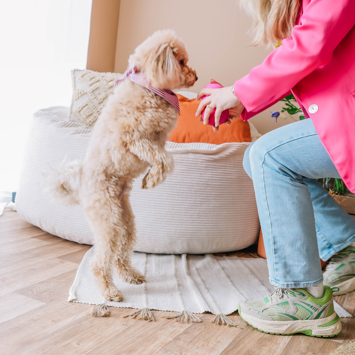 The Fun Feeder | Babelle - Babelle