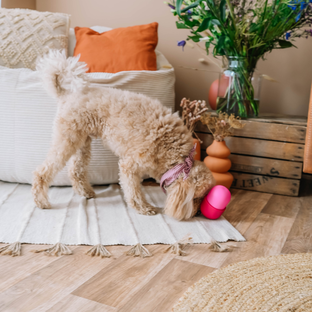 The Fun Feeder | Babelle - Babelle