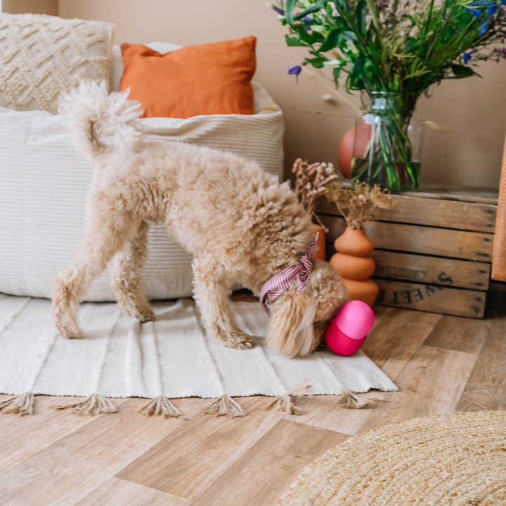 The Fun Feeder | Babelle - Babelle