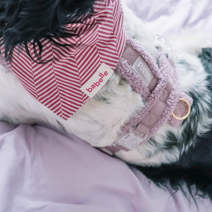 Raspberry Herringbone | The Paws - Babelle