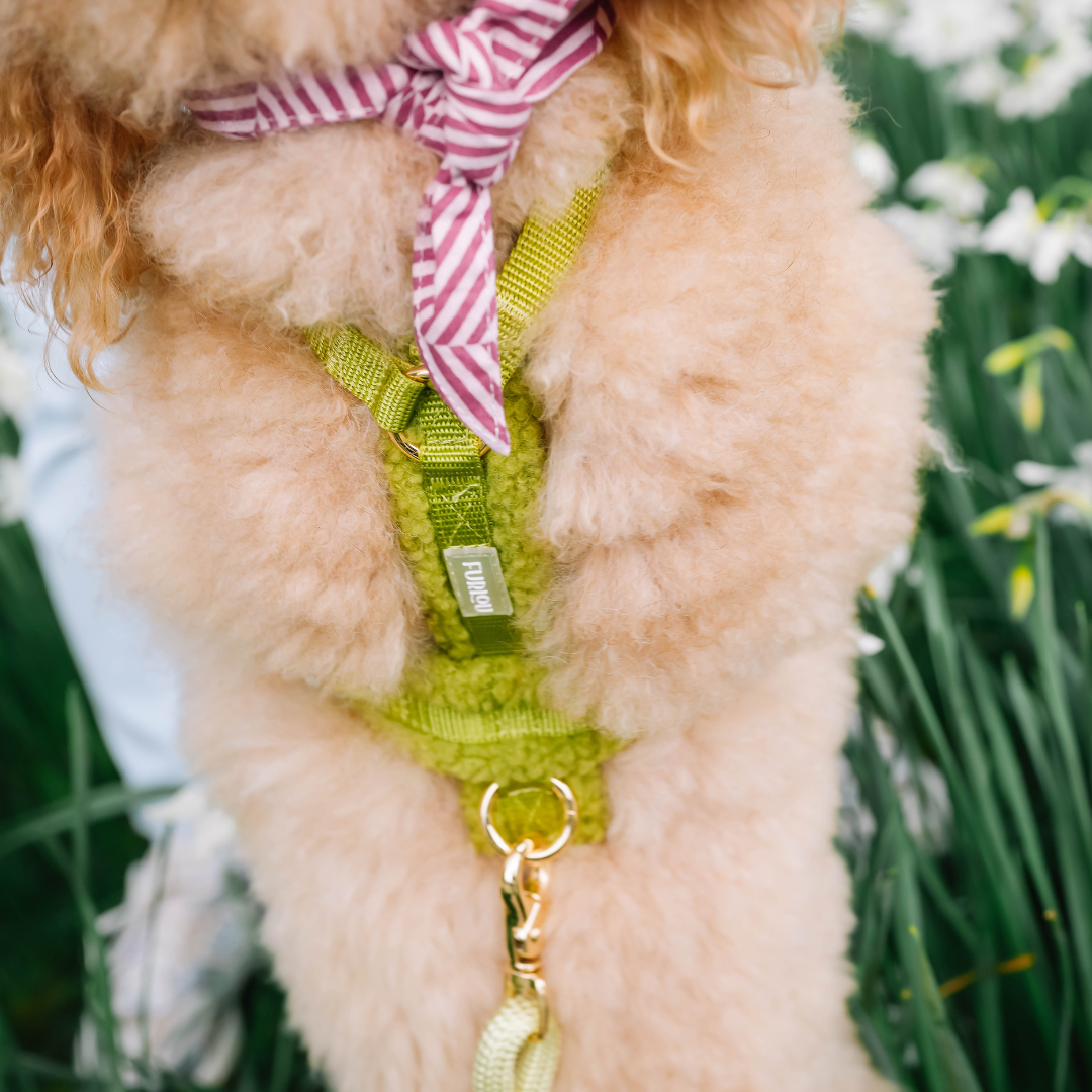 Lime Sherpa Harness| Furlou - Babelle