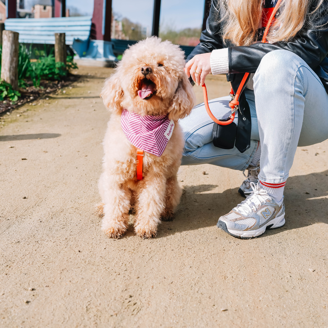 Raspberry Herringbone | The Paws - Babelle