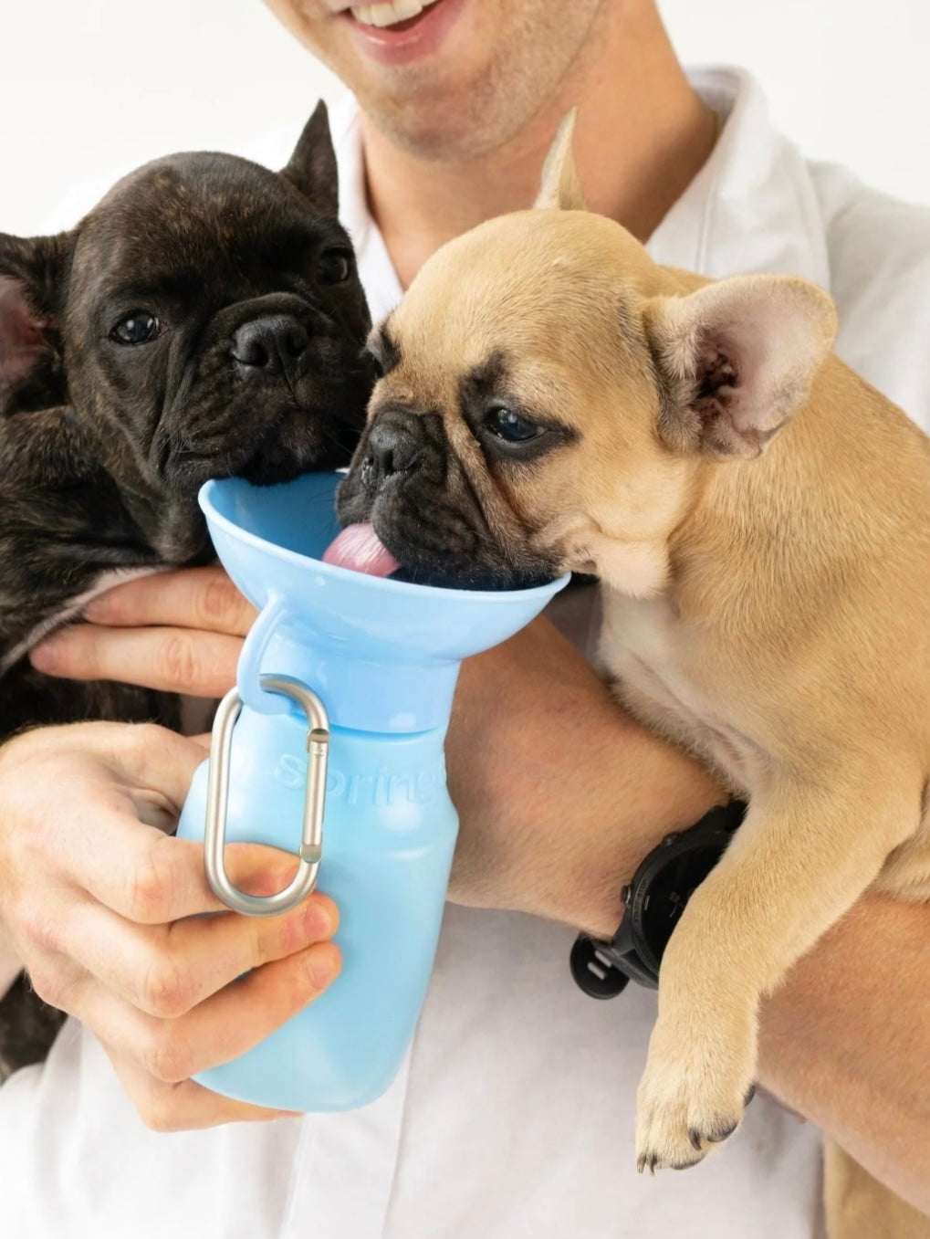 Small Waterbottle  | Springer - Babelle
