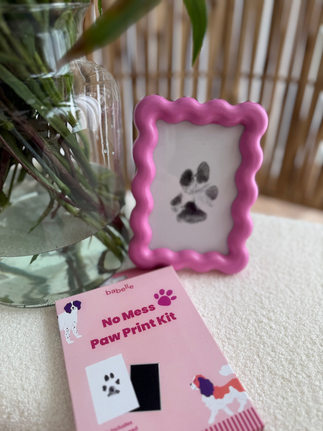 Paw Print Kit  | Babelle - Babelle