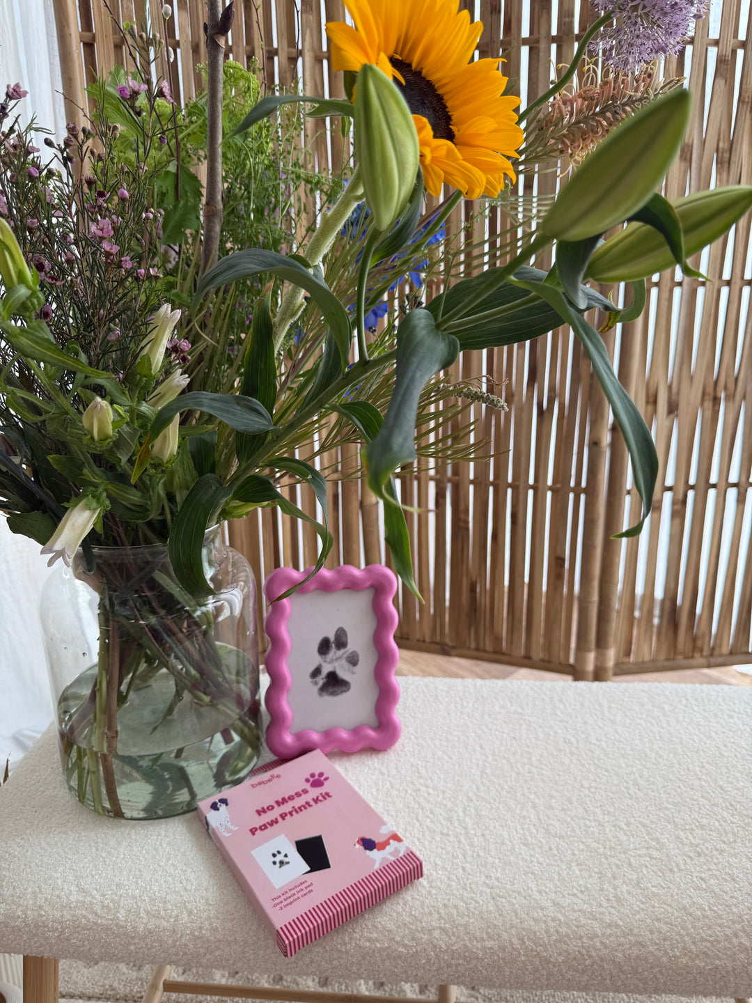 Paw Print Kit  | Babelle - Babelle