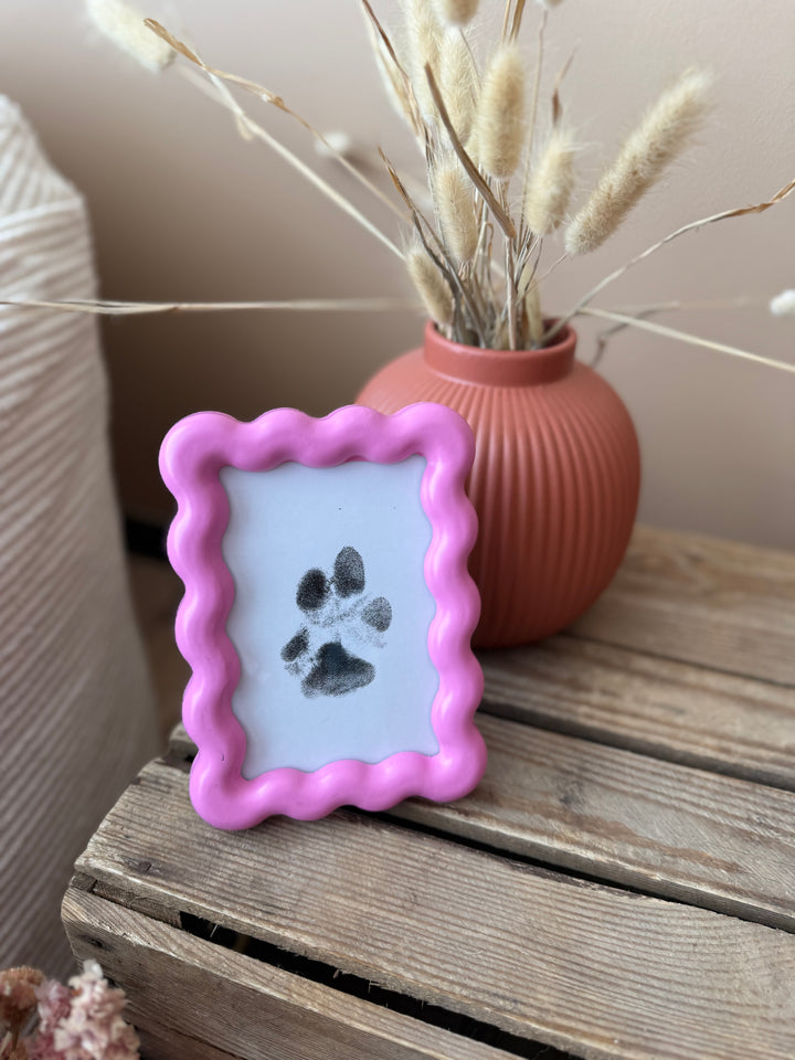Paw Print Kit  | Babelle - Babelle