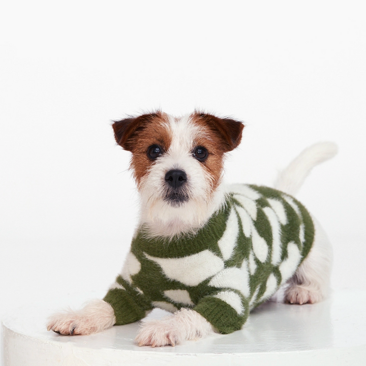 Soft Cloud Sweater | Pups & Bubs - Babelle