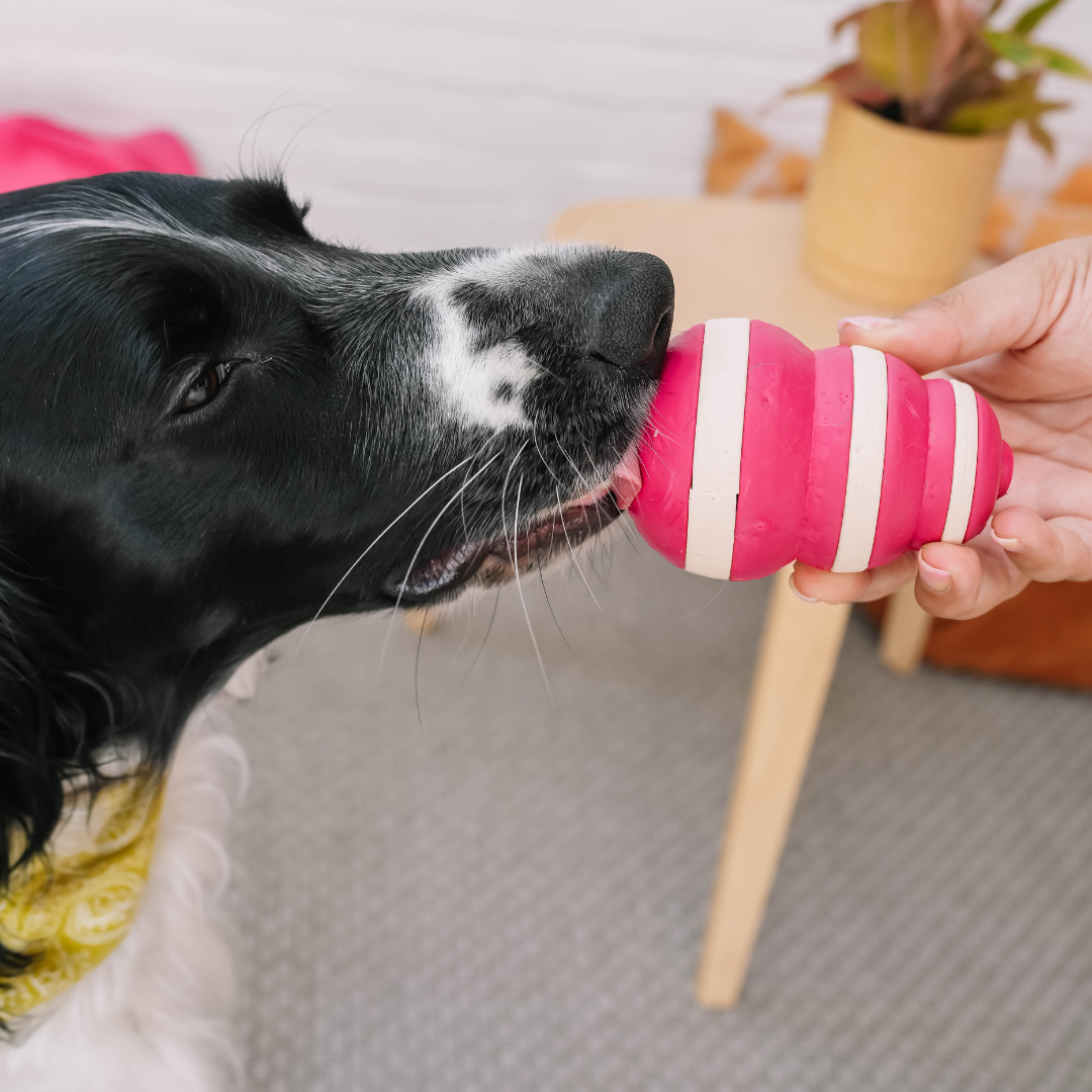 The Bubble Feeder | Babelle - Babelle