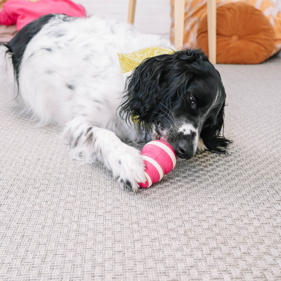 The Bubble Feeder | Babelle - Babelle