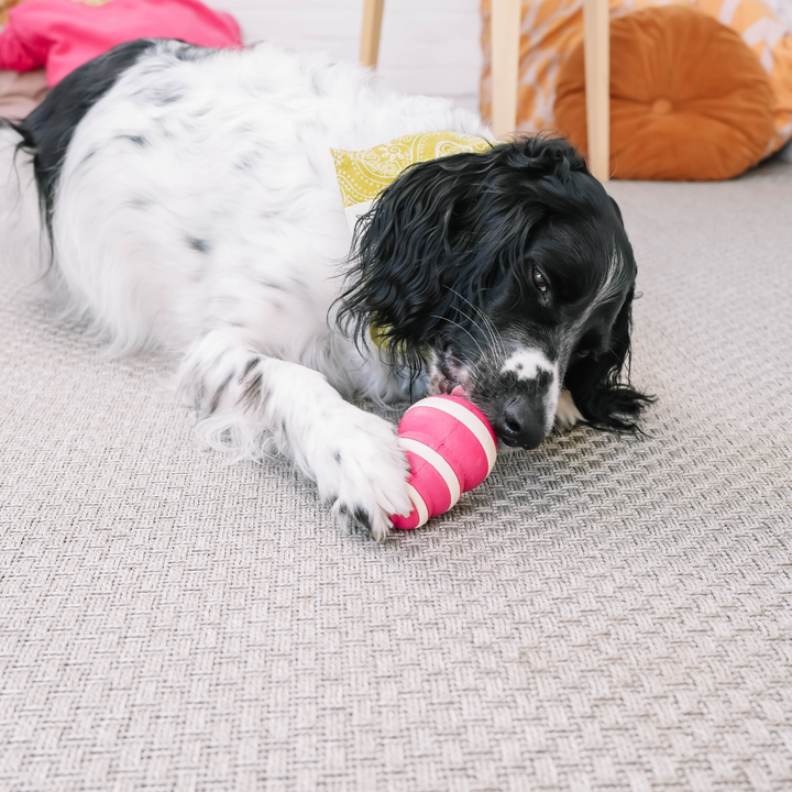 The Bubble Feeder | Babelle - Babelle