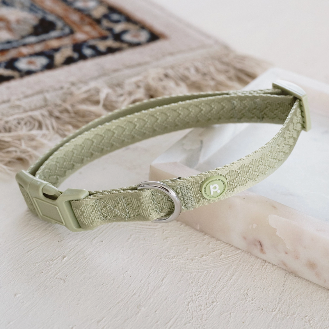 Matcha Collar | Peachy Dogs - Babelle