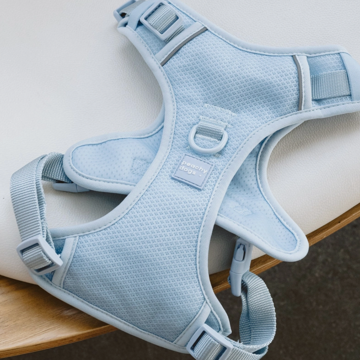 Cloud Harness| Peachy Dogs - Babelle