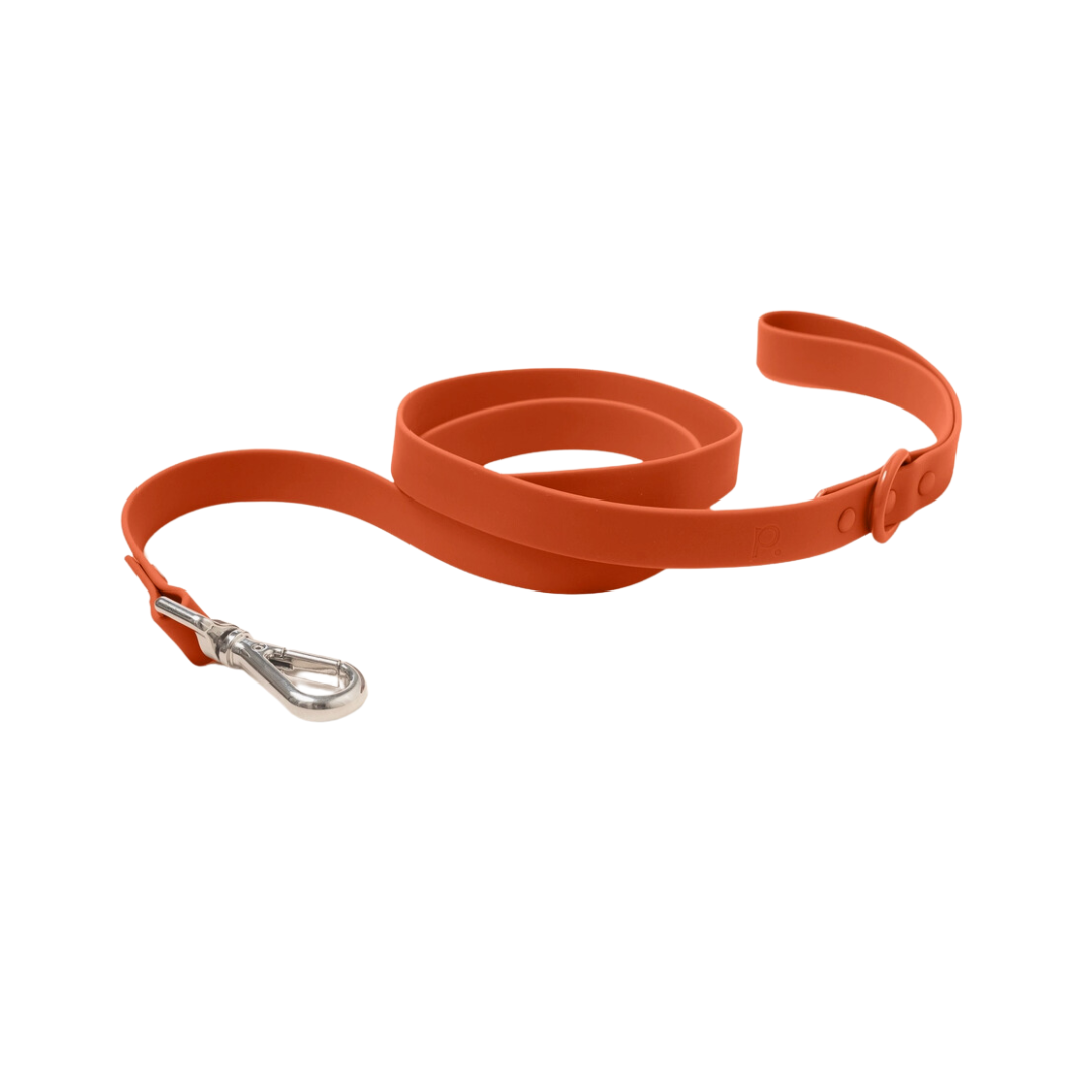 Chestnut Leash | Peachy Dogs - Babelle