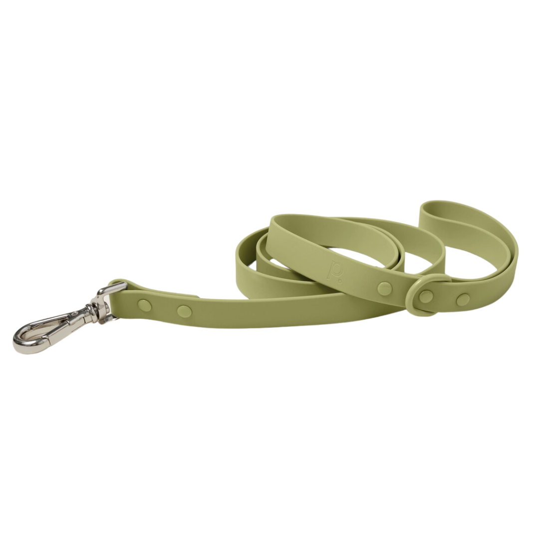 Green Leash | Peachy Dogs - Babelle