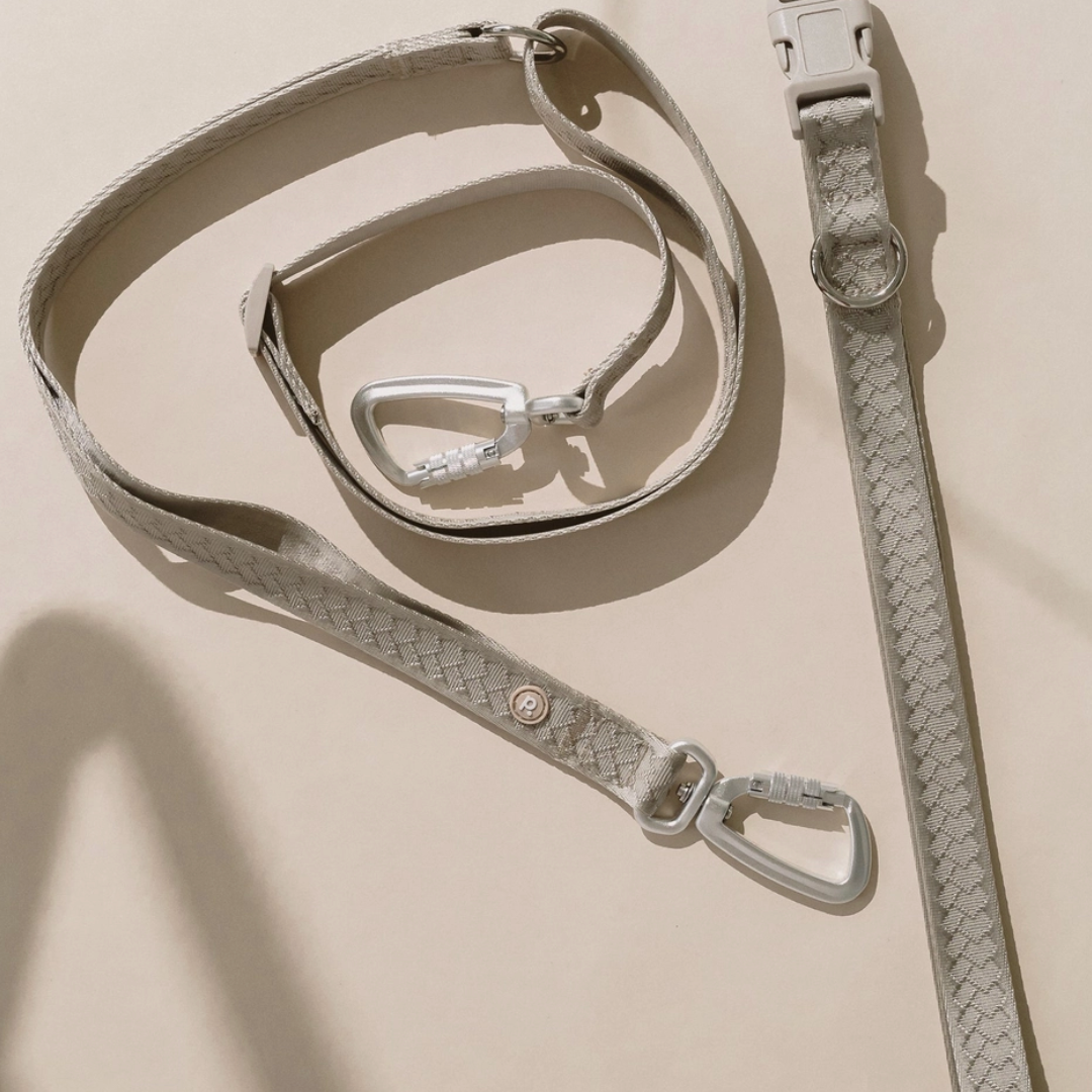 Affogato Hands-Free Leash | Peachy Dogs - Babelle