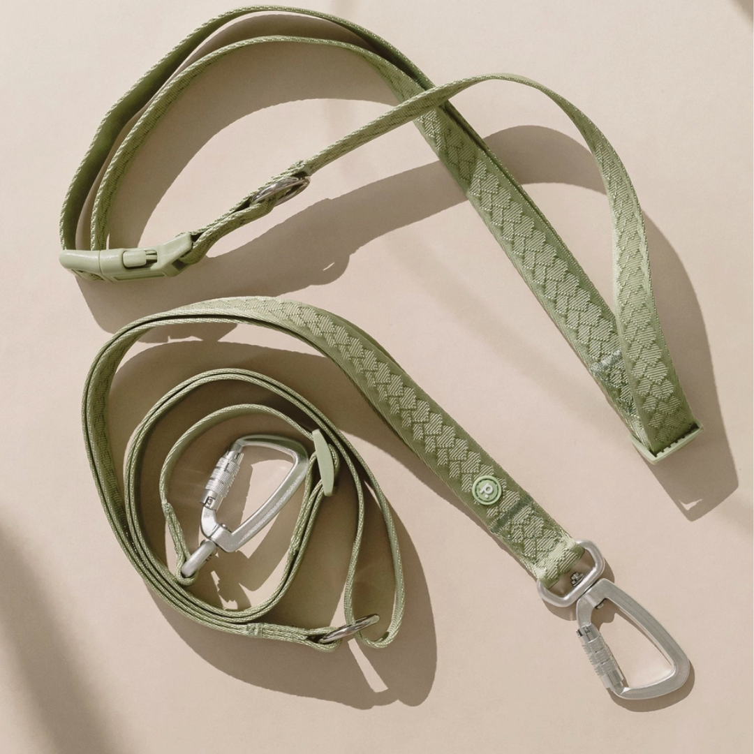 Matcha Hands-Free Leash | Peachy Dogs - Babelle