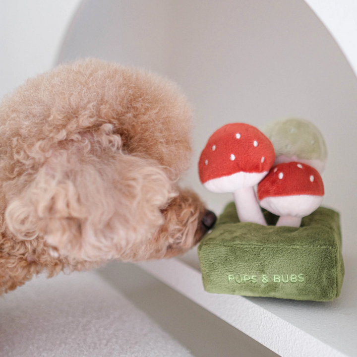 Forest Mushroom Snuffle toy  | Pups & Bubs - Babelle