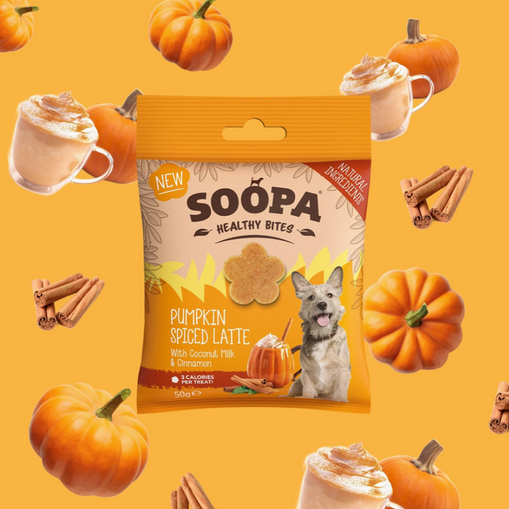 Pumpkin Spiced Latte Bites | Soopa - Babelle