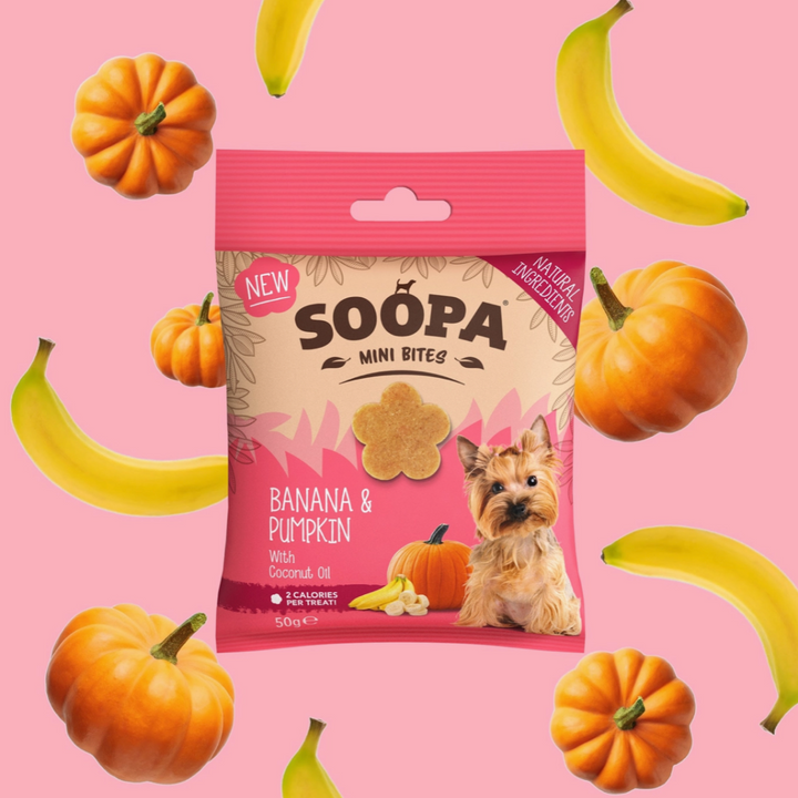 Banana & Pumpkin Mini Bites | Soopa - Babelle