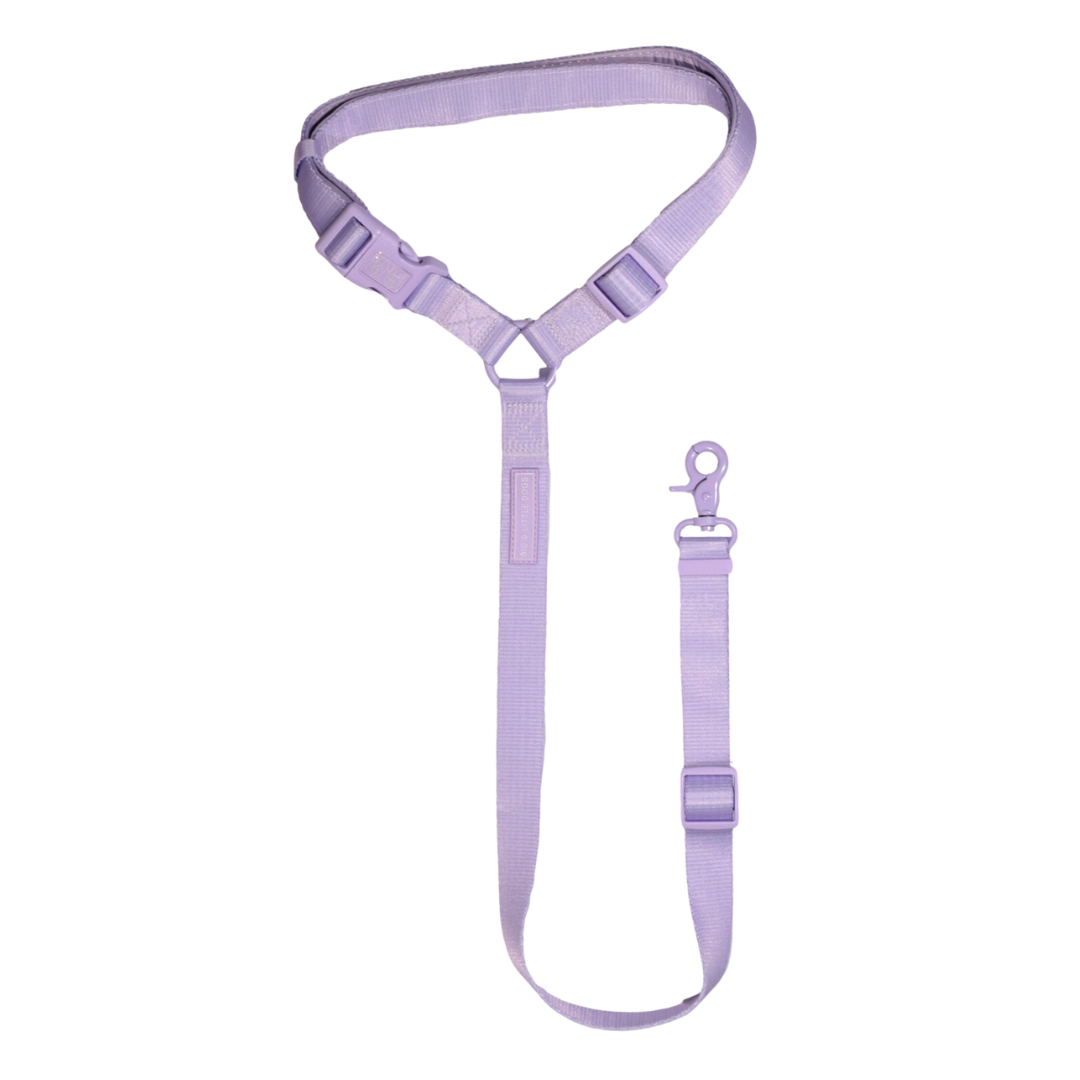 Seatbelt Lilac | Big&Little Dogs - Babelle