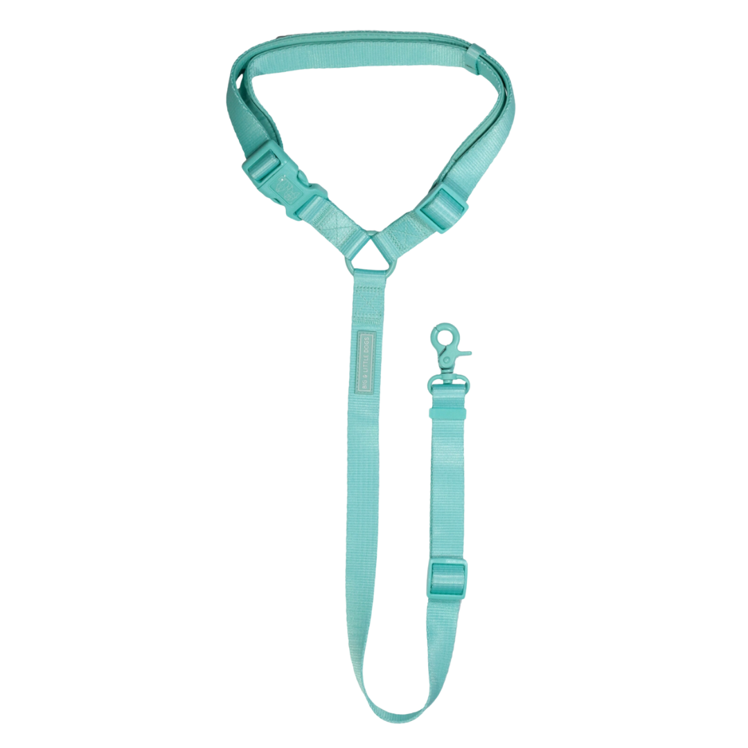 Seatbelt Aqua | Big&Little Dogs - Babelle