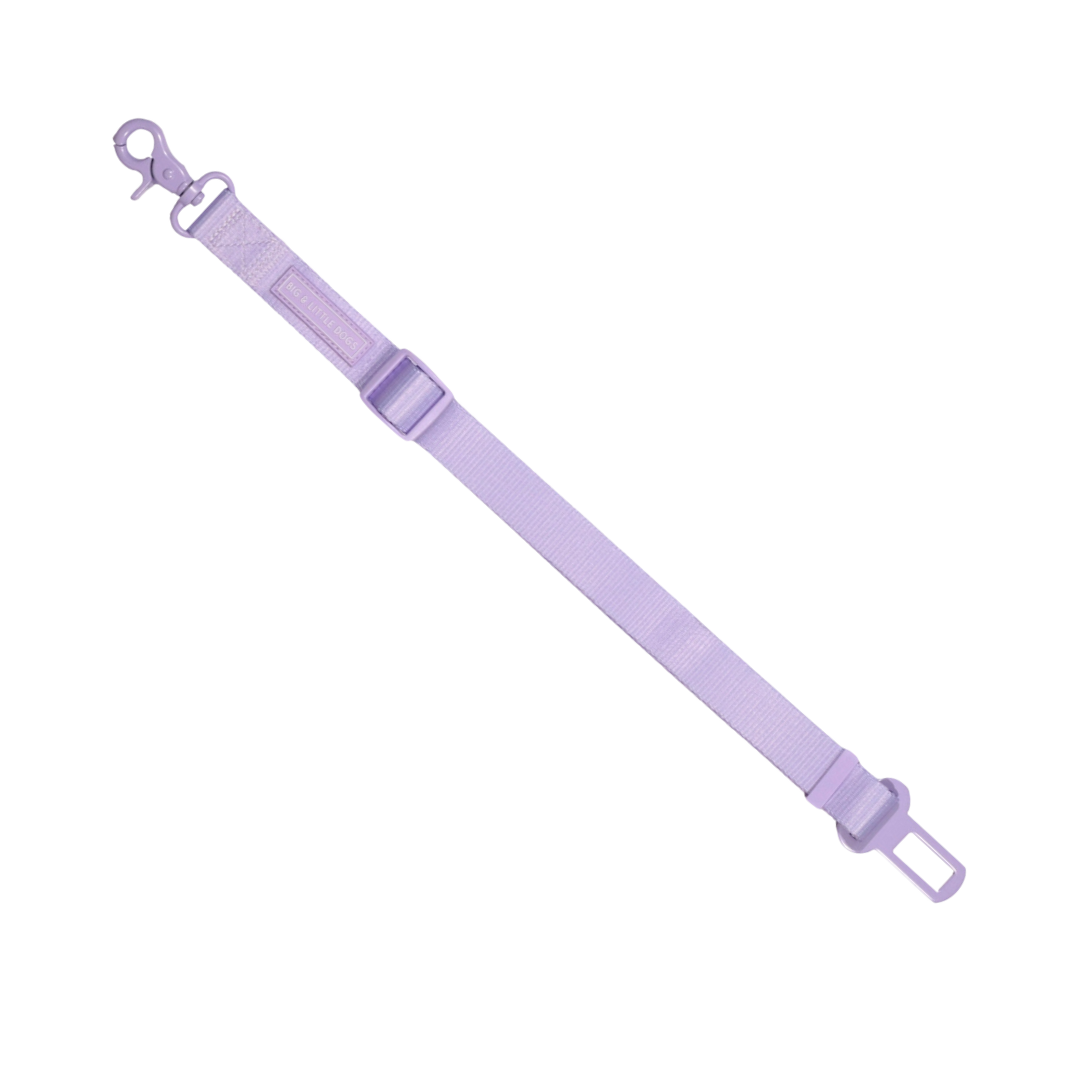 Seatbelt Lilac - click in | Big&Little Dogs - Babelle