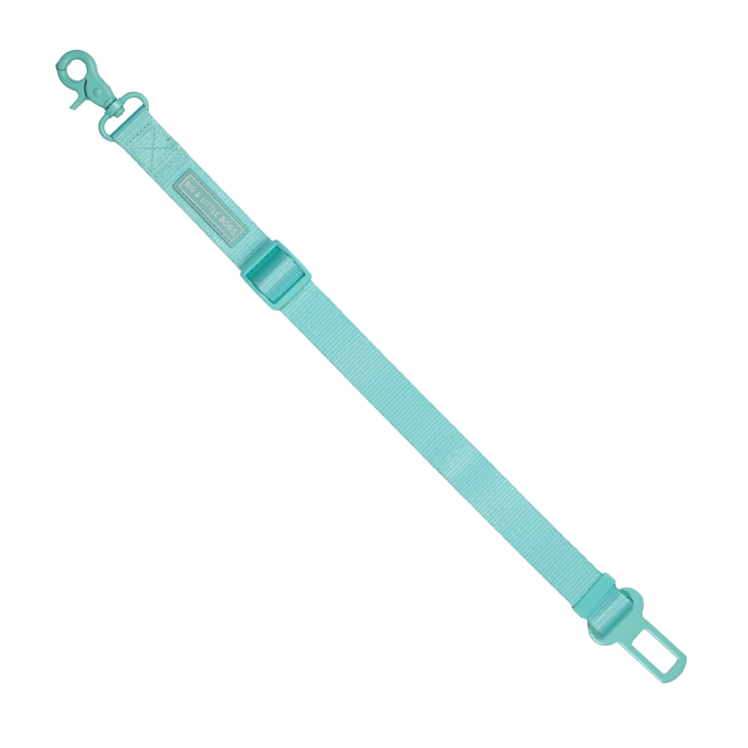 Seatbelt Aqua - click in | Big&Little Dogs - Babelle