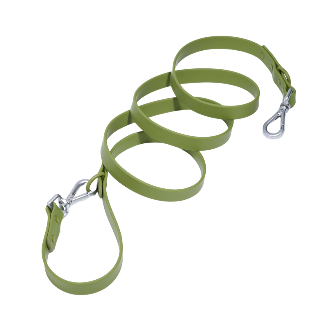Moss Leash | Wild One - Babelle