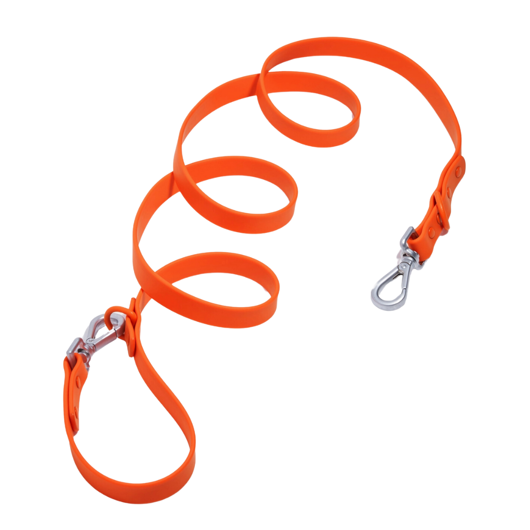 Orange Blaze Leash | Wild One - Babelle