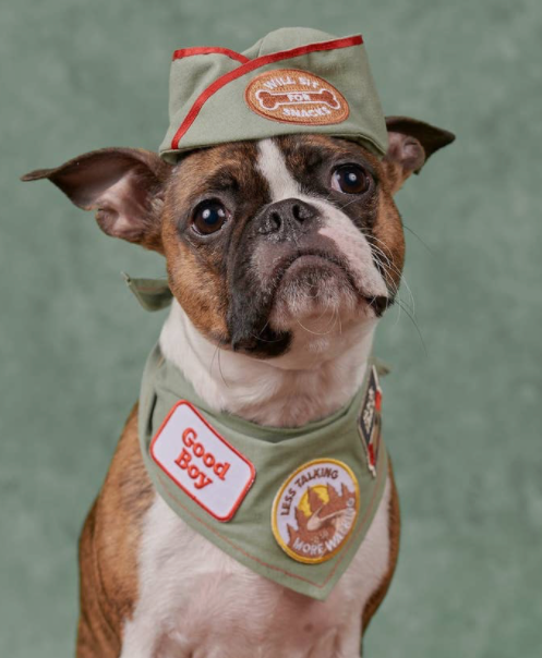 Good Boy patch | Scout's Honour - Babelle