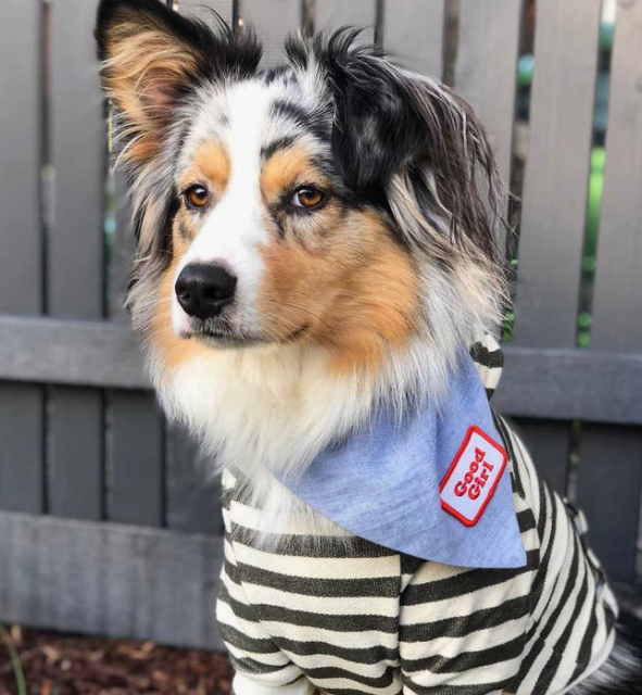 Good Girl patch | Scout's Honour - Babelle