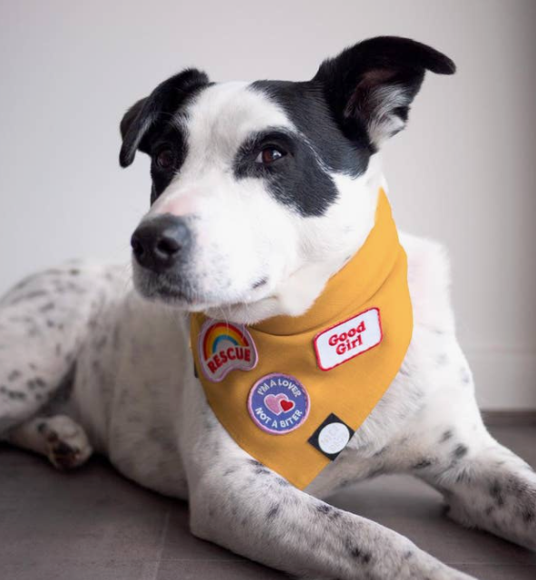 Good Girl patch | Scout's Honour - Babelle