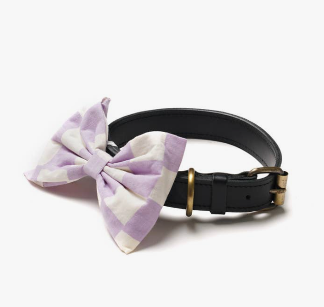 Bishop Bowtie | The Paws - Babelle