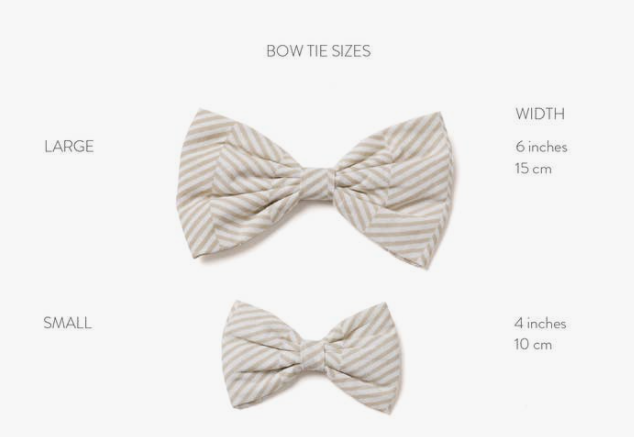 Bishop Bowtie | The Paws - Babelle