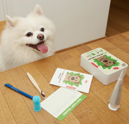 Eco dental kit  | Kikkerland - Babelle